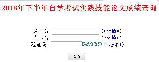 2018下半年山东自学考试实践技能论文成绩查询入口